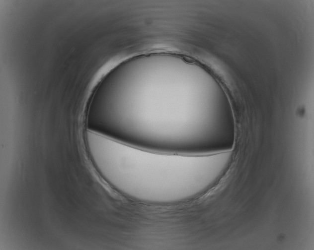X0000097661373200802290911