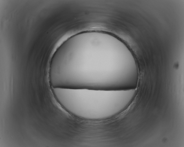 X0000097661374200802290911