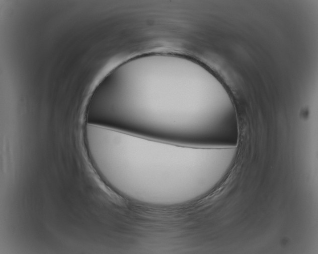 X0000097661375200802290911