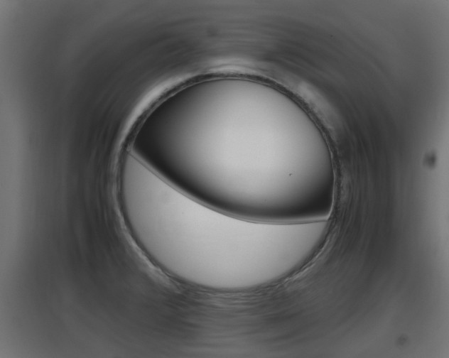 X0000097661376200802290911
