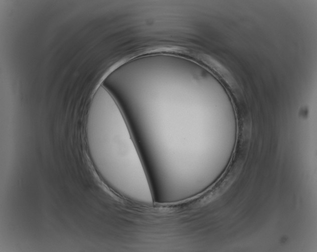 X0000097661377200802290911