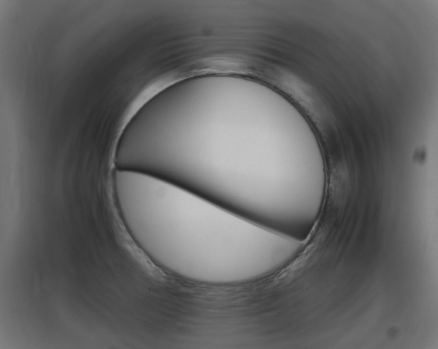 X0000097661378200802290911