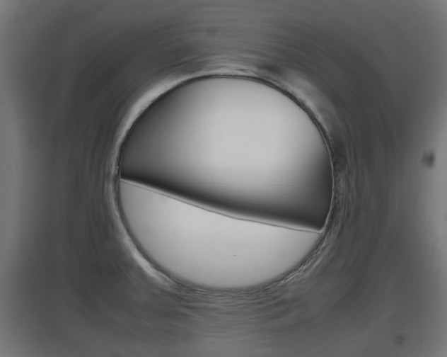 X0000097661379200802290911