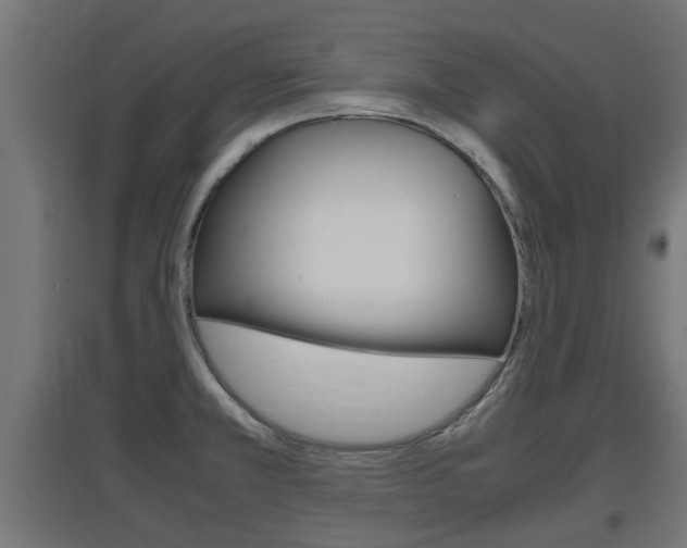 X0000097661381200802290911