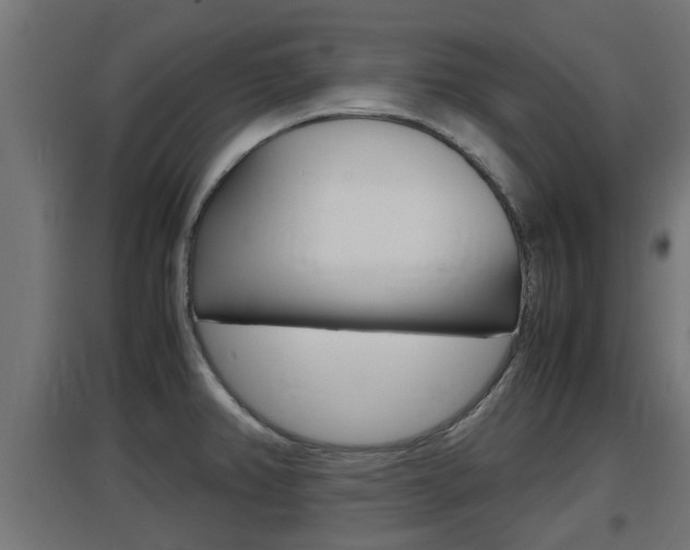 X0000097661382200802290911