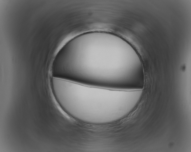X0000097661383200802290911