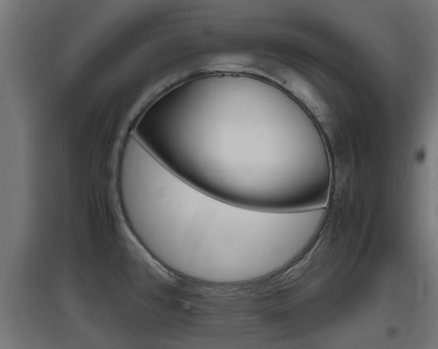 X0000097661384200802290911