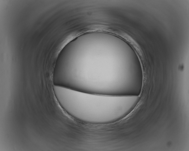 X0000097661385200802290911