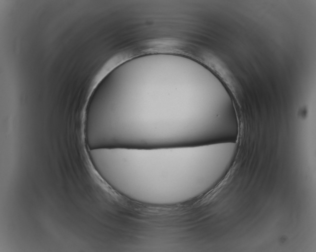 X0000097661386200802290911