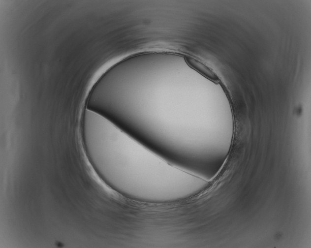 X0000097661387200802290911