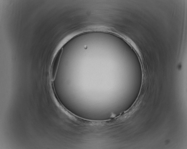 X0000097661389200802290911