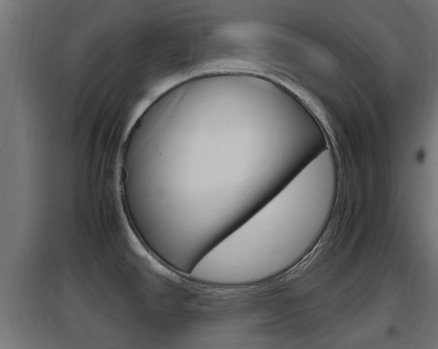 X0000097661390200802290911