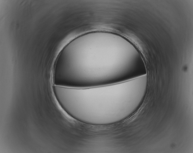 X0000097661391200802290911