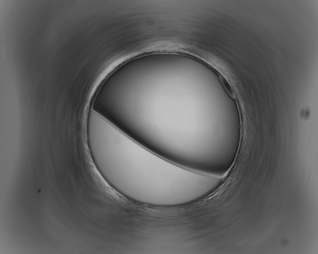 X0000097661392200802290911