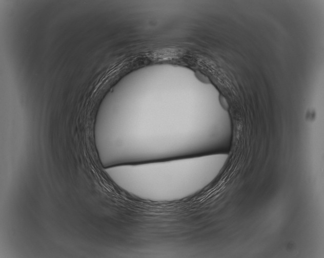 X0000097661393200802290910