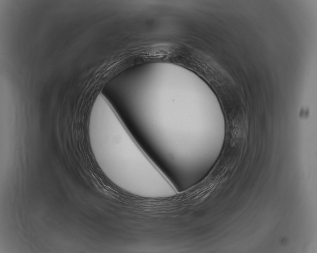 X0000097661394200802290910