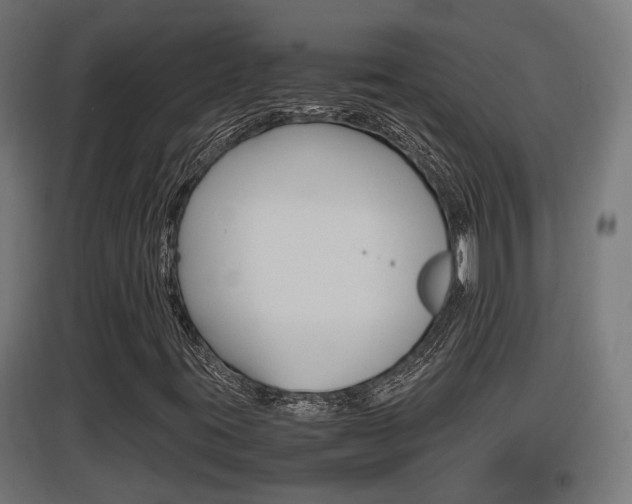 X0000097661395200802290910