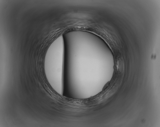 X0000097661396200802290910