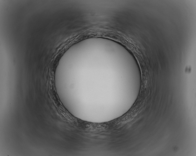 X0000097661397200802290910