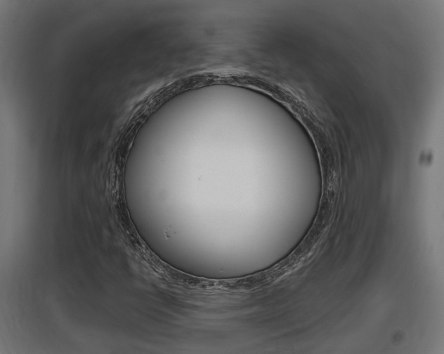 X0000097661398200802290910