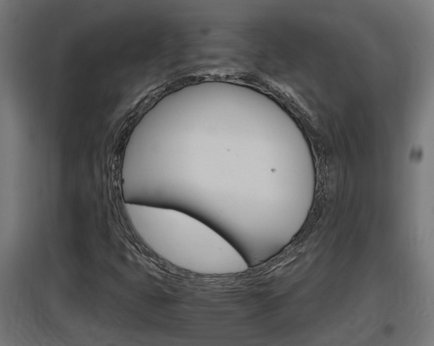X0000097661399200802290910