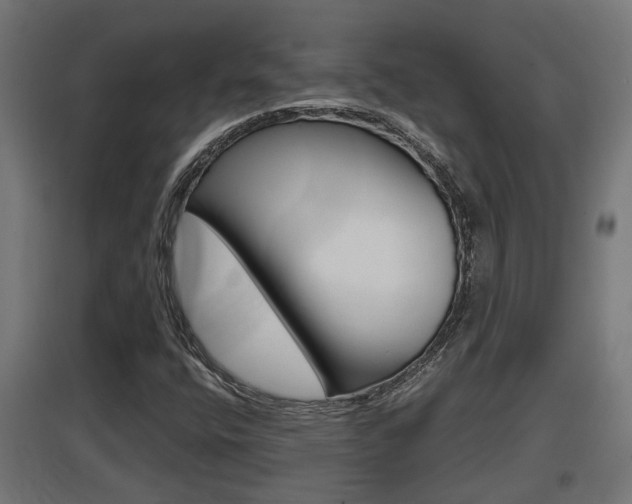 X0000097661400200802290910