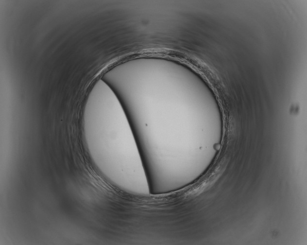 X0000097661401200802290910