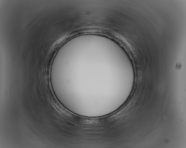 X0000097661403200802290910