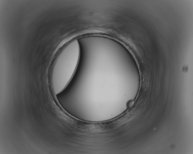 X0000097661404200802290911