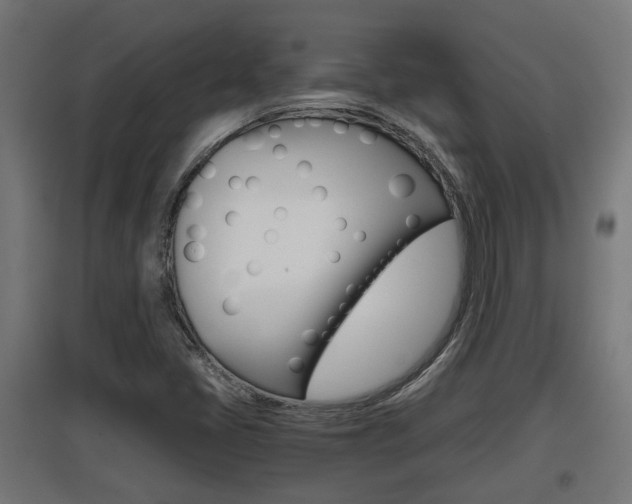 X0000097661405200802290911