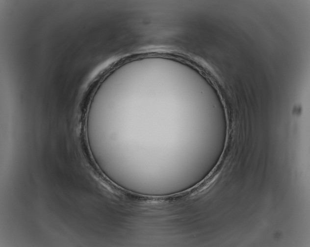 X0000097661406200802290911