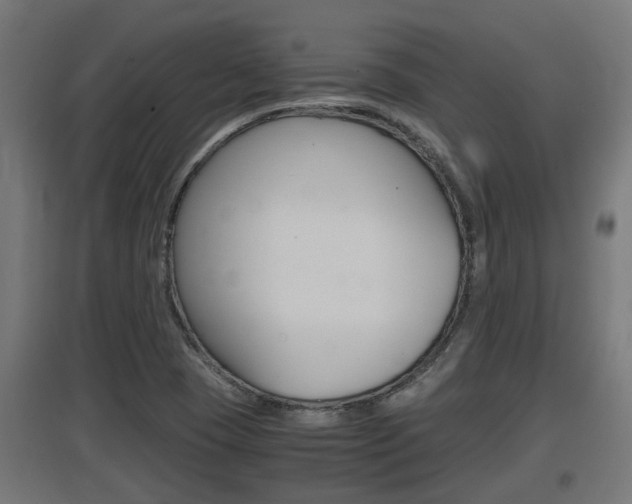 X0000097661409200802290911