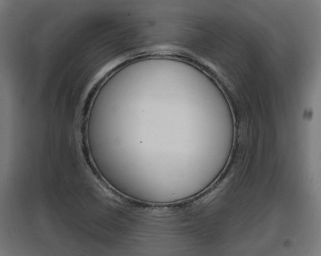X0000097661410200802290911