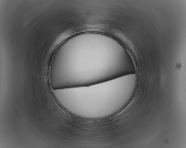 X0000097661411200802290911