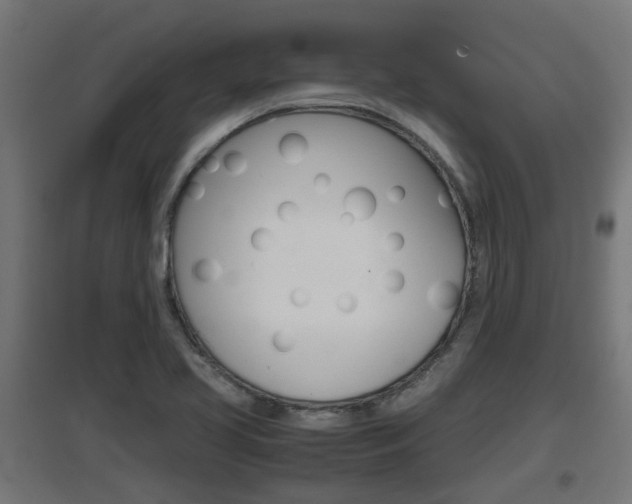 X0000097661413200802290911