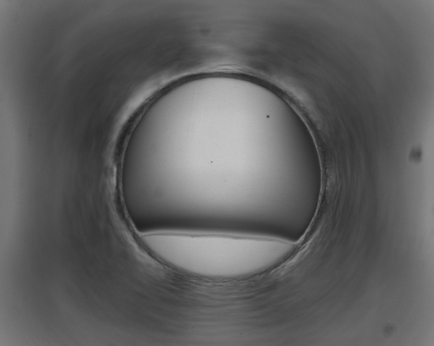 X0000097661414200802290911