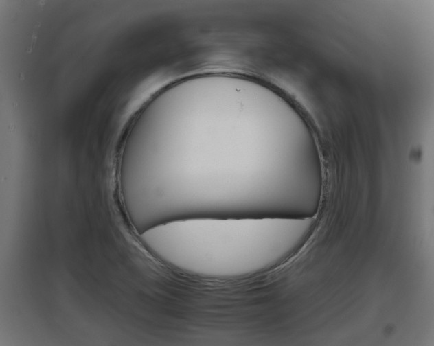 X0000097661415200802290911