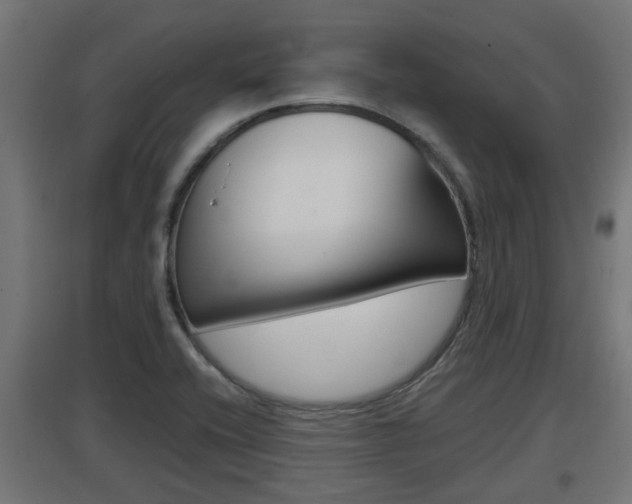 X0000097661416200802290911