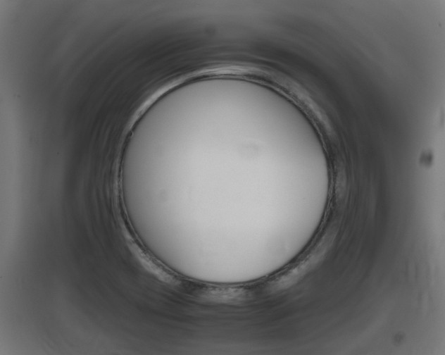 X0000097661417200802290911