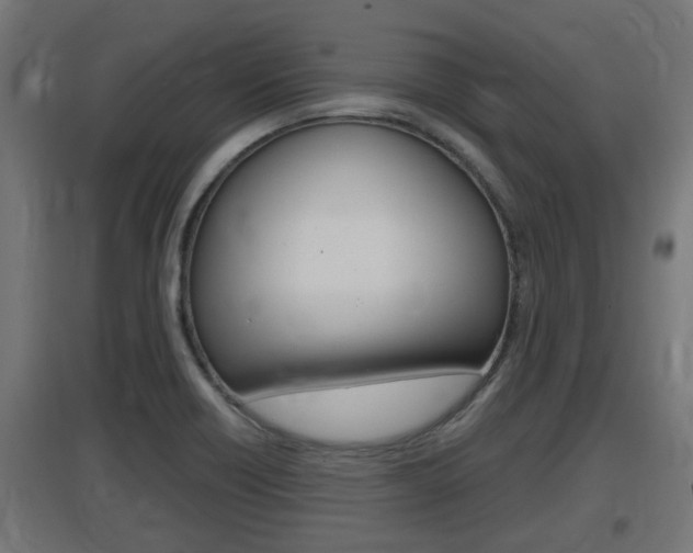 X0000097661418200802290911