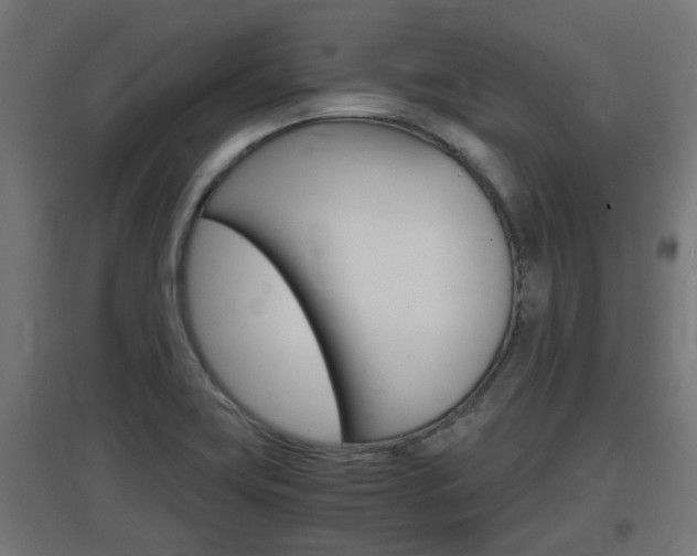 X0000097661419200802290911