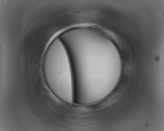 X0000097661420200802290911