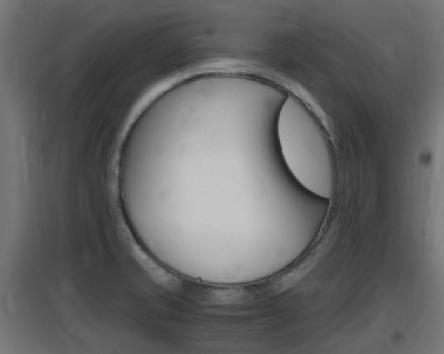 X0000097661421200802290911