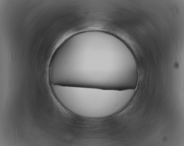 X0000097661423200802290911