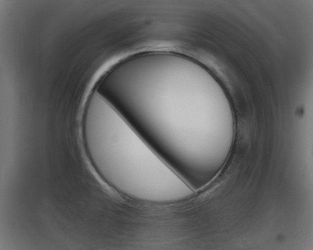 X0000097661424200802290911