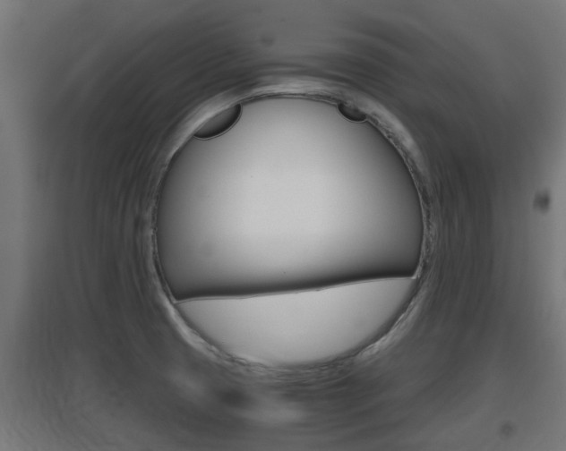 X0000097661425200802290911