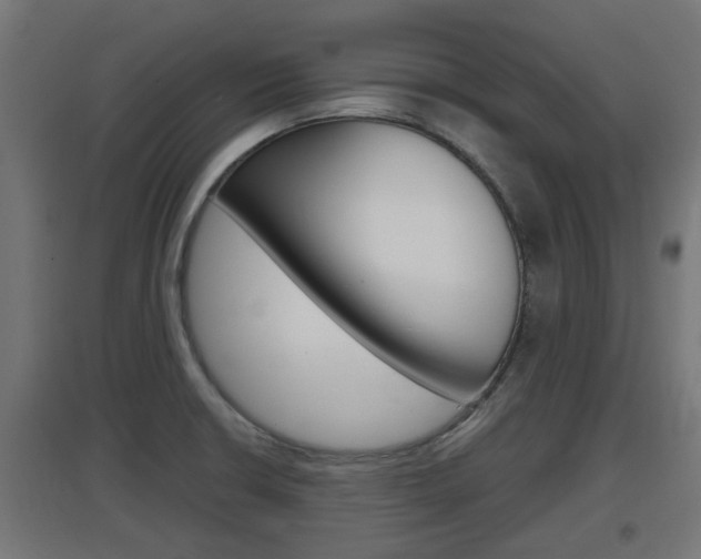 X0000097661426200802290911