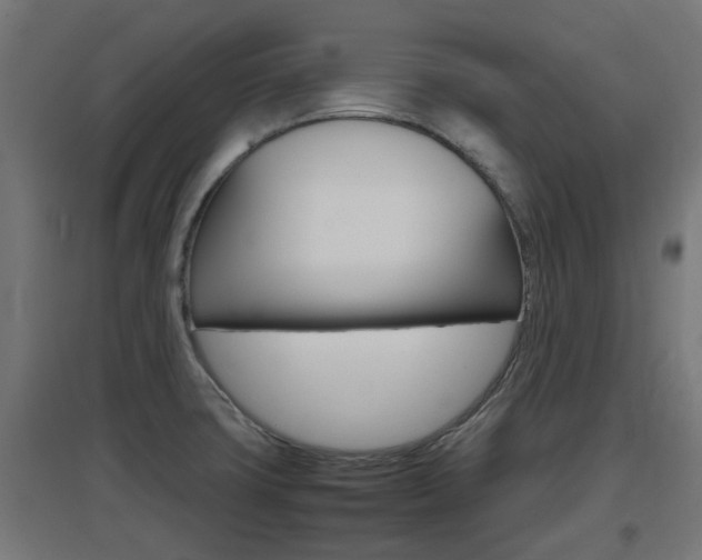 X0000097661427200802290911
