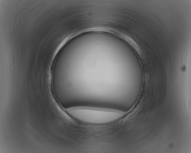 X0000097661428200802290911
