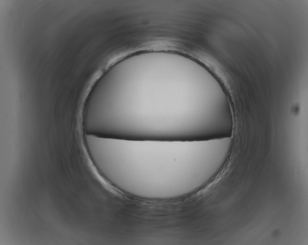 X0000097661429200802290911